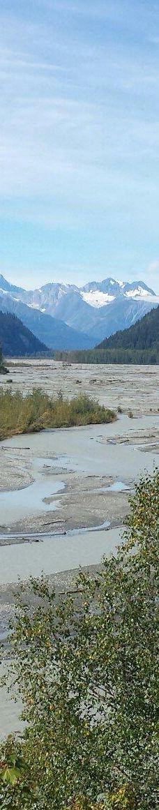 奇尔卡特河-海恩斯自治市镇