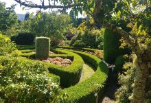 Aston Norwood Garden Centre & Nursery购物图片