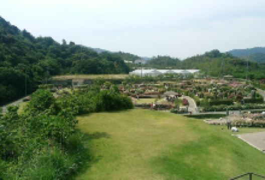 Sennan\ Coty Agricultural Park Hanasaki Farm景点图片