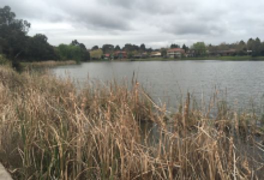 Sutton Lake景点图片