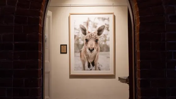 Charles Davis Photography Gallery