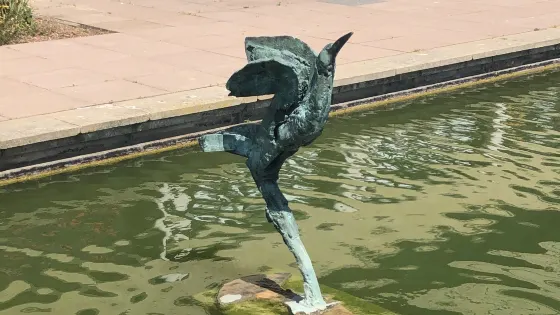 Bird by Michael Chase