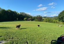 Wantage Dog Park景点图片