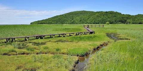 計呂地サンゴ草羣生地
