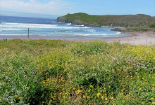 Surf 2021 A Frouxeira - Valdoviño景点图片
