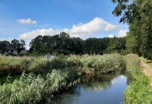 Volkstuinvereniging 't Peultje景点图片