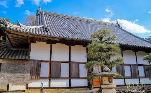 洞松寺