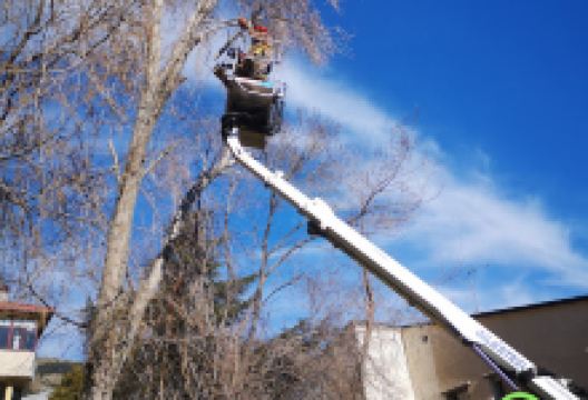 Escorial green购物图片