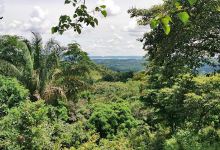Reserva Forestal Hogar Gatún景点图片