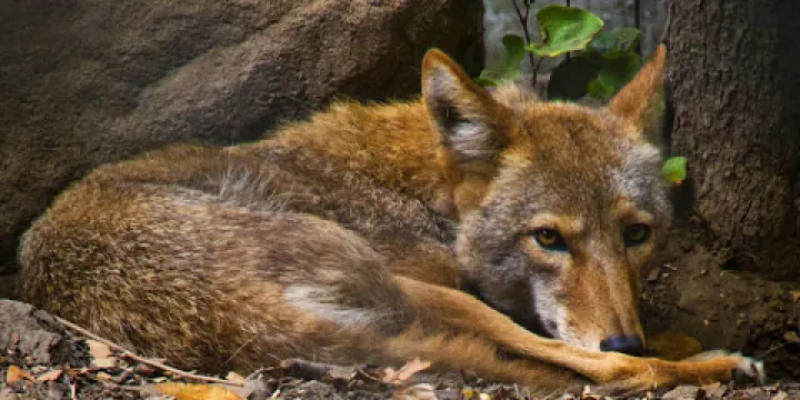 Sulphur Creek Nature Center