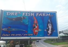Dre's Fish Farm景点图片