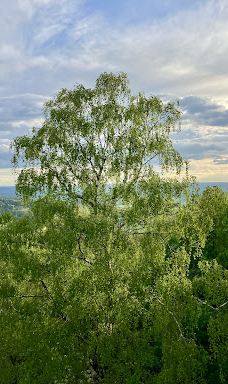 Giechburg-谢斯利茨