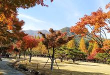 采薇亭景点图片