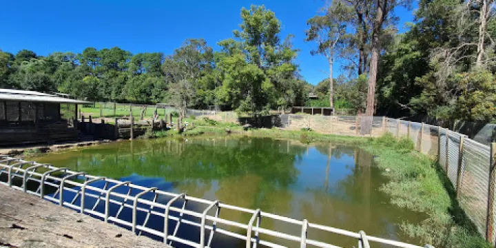 Golden Ridge Animal Farm