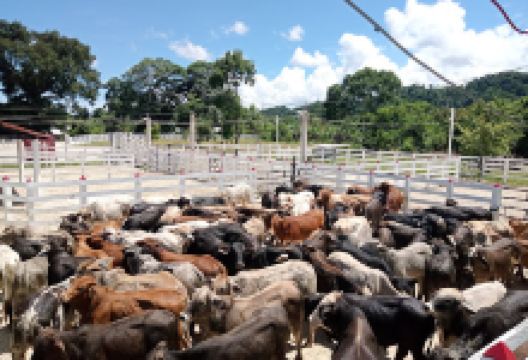 Campo y Agua景点图片