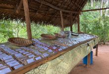 Mussa Abasi Village Spice Farm Kisongoni购物图片