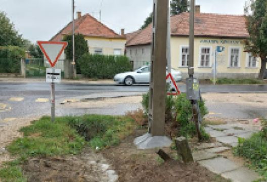 Juharfa Kertészeti Áruda és Faiskola购物图片