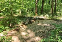 Féreglyuk (Mountain Bike Trail)景点图片
