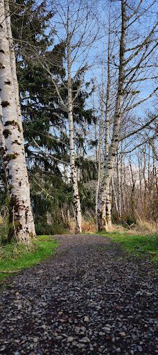 Alder Island Nature Trailhead-林肯县