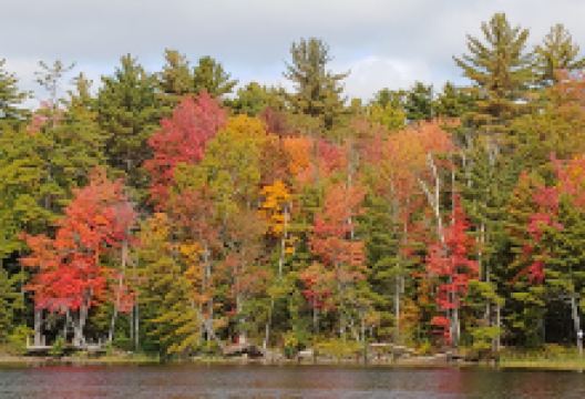 Mattanawcook Pond景点图片