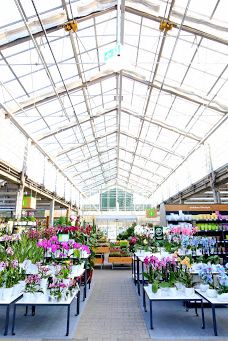 Dehner Garten-Center-开姆尼茨