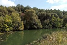 Moksha River景点图片