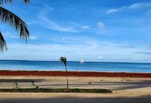 Malecón de Manzanillo景点图片