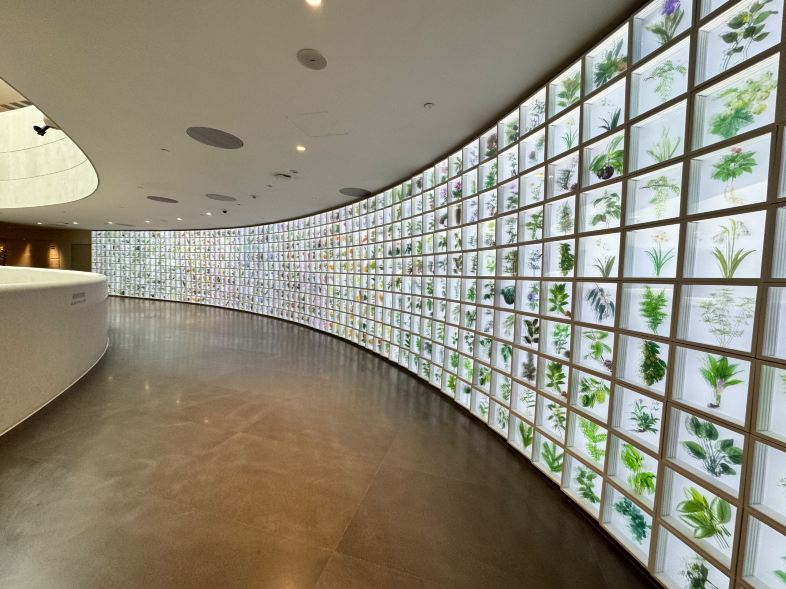Gallery 3