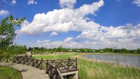霧開河公園