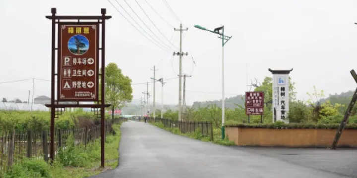 樟樹·汽車營地