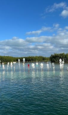 Islander Girl Snorkel & Tours-门罗县