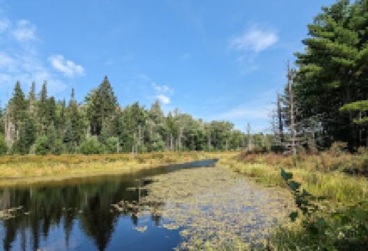 Riverbrook Preserve景点图片