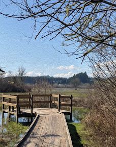 Jackson-Frazier Wetlands-本顿县