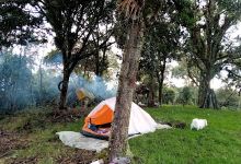 La Roca (cavernas y camping)景点图片