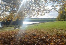 Cusworth Hall Museum景点图片