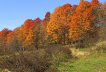 Sugarbush Farm景点图片