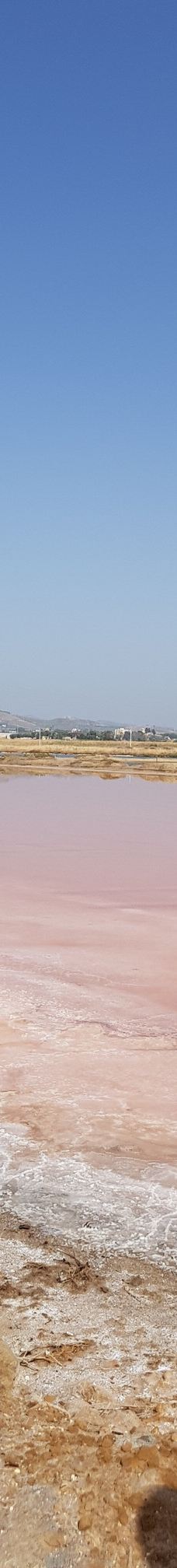 Salt Museum-特拉帕尼省