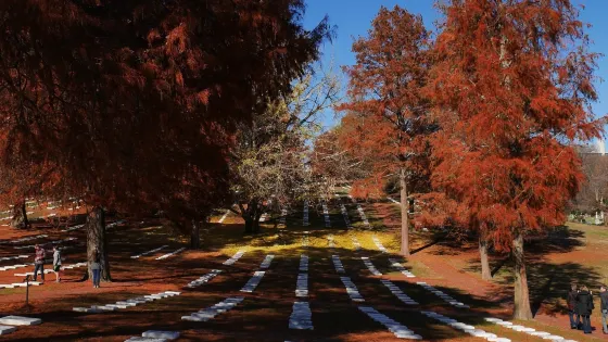 Salem God's Acre Cemetery