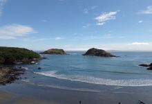 Chiloe Island Penguin Colony景点图片
