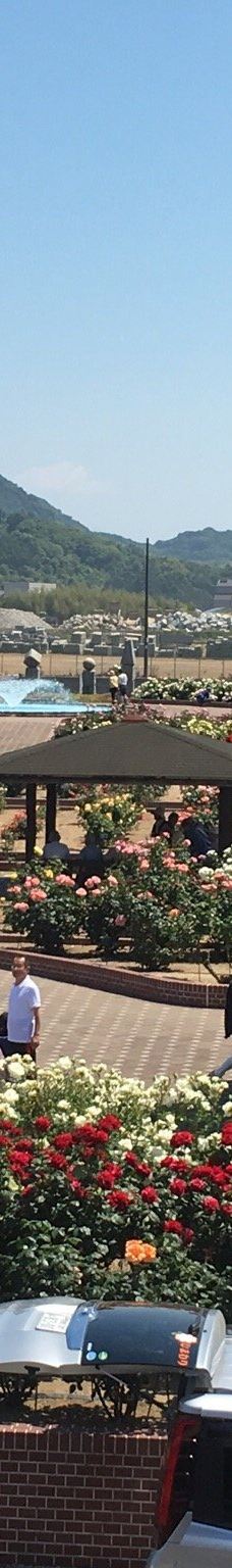Yoshiumi Rose Park-今治市