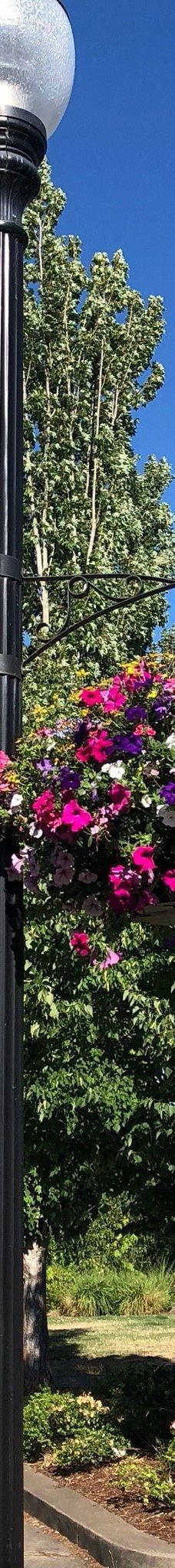 Riverfront Commemorative Park-科瓦利斯