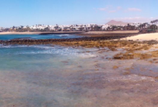 Playa de las Cucharas景点图片