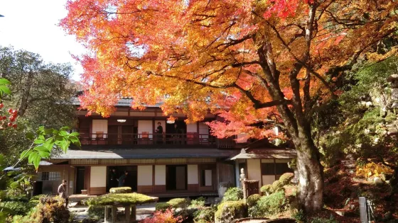 Hori Teien Garden