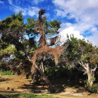 La Saline les Bains图片