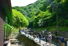 Chihayagawa Masu Fishing Area景点图片