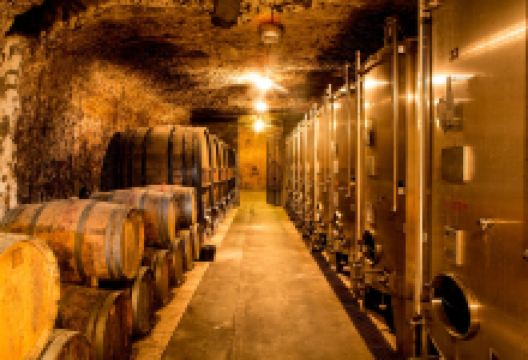 Domaine Merieau景点图片