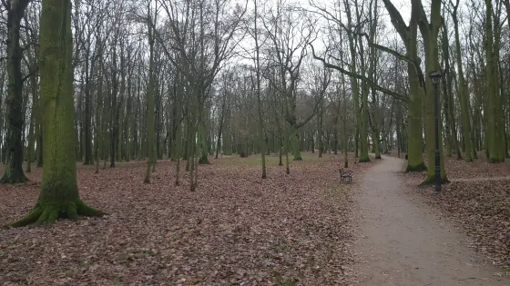 Spring of Nations Park