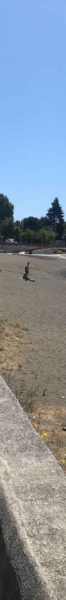 Playa Los Cisnes-兰奎休