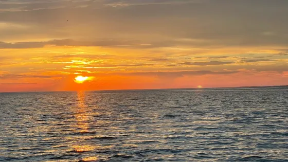 Dauphin Island Marina