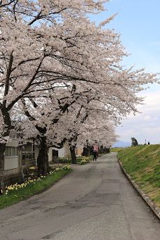 Matsugachi Park-长井市